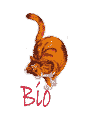Bio Button